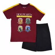Harry Potter Witchcraft pijamale scurte pentru copii 110 cm