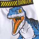 Jurassic World chiloți boxeri pentru copii 2 bucăți/pachet 4/5 ani