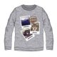 Ushuaia <mg-auto=3001996>Pictures Grey bărbați home tricou L