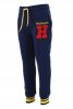 Harry Potter trening pentru copii, set jogging 12 ani / 152 cm