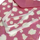 Colorat Iridescent cutie de cadou 2 buc