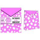 Colorat Iridescent cutie de cadou 2 buc