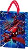 Disney, Patrula Cățelușilor, Omul Păianjen hârtie pungă de cadou 34x26x12 cm