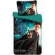 Harry Potter Lenjerie de pat Wizard 140×200 cm, 70×90 cm