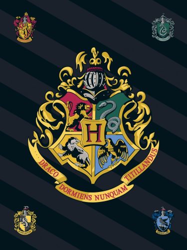 Harry Potter pătură polară <mg-auto=3002491>100x140cm