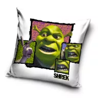 Shrek husă de pernă 40x40 cm Catifea