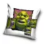 Shrek husă de pernă 40x40 cm Catifea