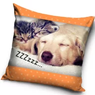 Pisică ZZZ  Husă pernă câine 40x40 cm