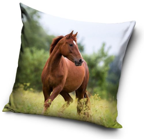Cal Freedom husă de pernă 40x40 cm Velur