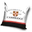 Cambridge husă pentru pernă 40*40 cm