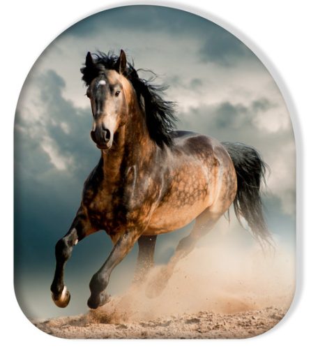 Cal Wild Stallion pernă decorativă 37x33 cm
