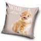 Pisică Home husă de pernă 40x40 cm Velur
