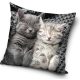 Pisică Sleeping husă decorativă 40x40 cm din catifea