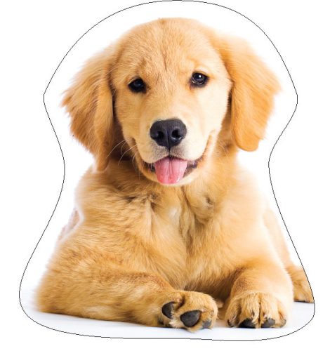 Câine Golden Retriver pernă decorativă 35x35 cm