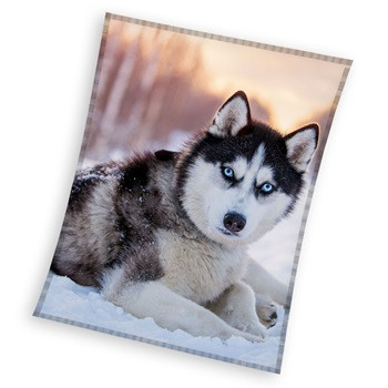 Câine Husky pătură coral fleece 150x200cm