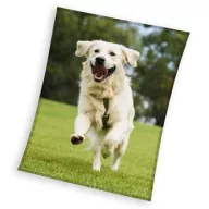   Câine Happytail Retriever plapumă din fleece coral 150x200cm