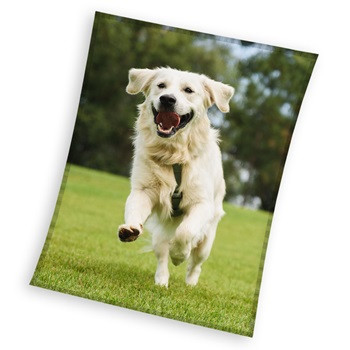 Câine Happytail Retriever plapumă din fleece coral 150x200cm