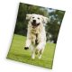 Câine Happytail Retriever plapumă din fleece coral 150x200cm