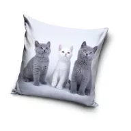   Pisică Trio husă decorativă pentru pernă 40x40 cm Catifea