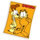 Garfield Lazy Days pătură coral fleece 150x200cm