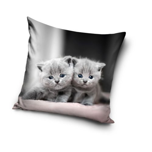 Pisică Twins husă decorativă pentru pernă 40x40 cm Catifea