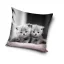 Pisică Twins husă decorativă pentru pernă 40x40 cm Catifea
