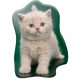 Pisică Creamy Whiskers pernă decorativă modelată 40x32 cm Catifea