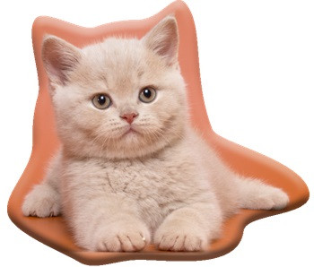 Pisică Fluffy pernă decorativă 38x33 cm Velur