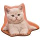 Pisică Fluffy pernă decorativă 38x33 cm Velur
