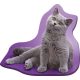 Pisică Grey pernă decorativă 36x40 cm Velur