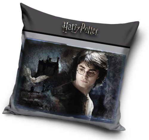 Harry Potter pernă, pernă decorativă 40*40 cm Harry Potter pernă decorativă 40*40 cm