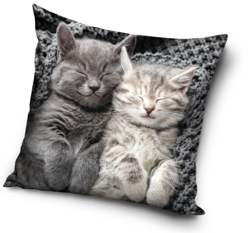 Pisică Sleep pernă, pernă decorativă pernă decorativă 40x40 cm