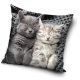 Pisică Sleep pernă, pernă decorativă pernă decorativă 40x40 cm