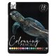 Colorat Nassau set de creioane de 18
