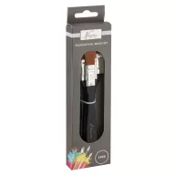 Colorat Nassau Set profesional de pensule, 3 piese