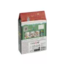Crăciun Holiday set de pictură pe pietre cu autocolante