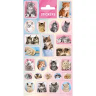 Animale Cats autocolant