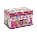 Patrula Cățelușilor Girls cutie de bijuterii mozaic