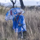 Sonic Ariciul Ring umbrelă transparentă pentru copii Ø71 cm