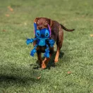 Disney Lilo și Stitch Alien jucărie frânghie pentru câini cu sunet 26 cm