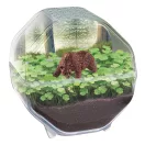 Animale Bear Mini terariu Clementoni