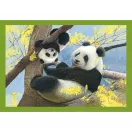 Animale Baby Cuddles Puzzle 4 în 1 Clementoni