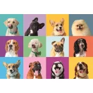 Animale Funny Faces Puzzle Clementoni de 300 de piese