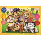 Patrula Cățelușilor Friends Puzzle Clementoni 104 piese