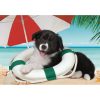 Câine Sunny Beach Puzzle Clementoni de 104 piese