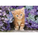 Pisică Ginger Puzzle compact Clementoni de 500 piese