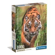   Tigru Hunter's Path Puzzle compact Clementoni, 1000 de piese