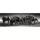Animale Herd of Giants Puzzle compact panoramic cu elefant de 1000 de piese Clementoni