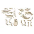 Dinozaur Archeo Fun Set de arheologie luminos Clementoni