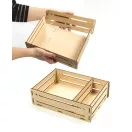 Colorat Organic Set științific pentru grădinărit Clementoni